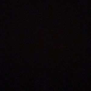 Meet your Posher, Izzy